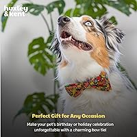 Vista 9 de Huxley & Kent Corbatín para mascotas para perros y gatos - Accesorio de collar ajustable de gancho y bucle para otoño - Lindo y cómodo para fiestas