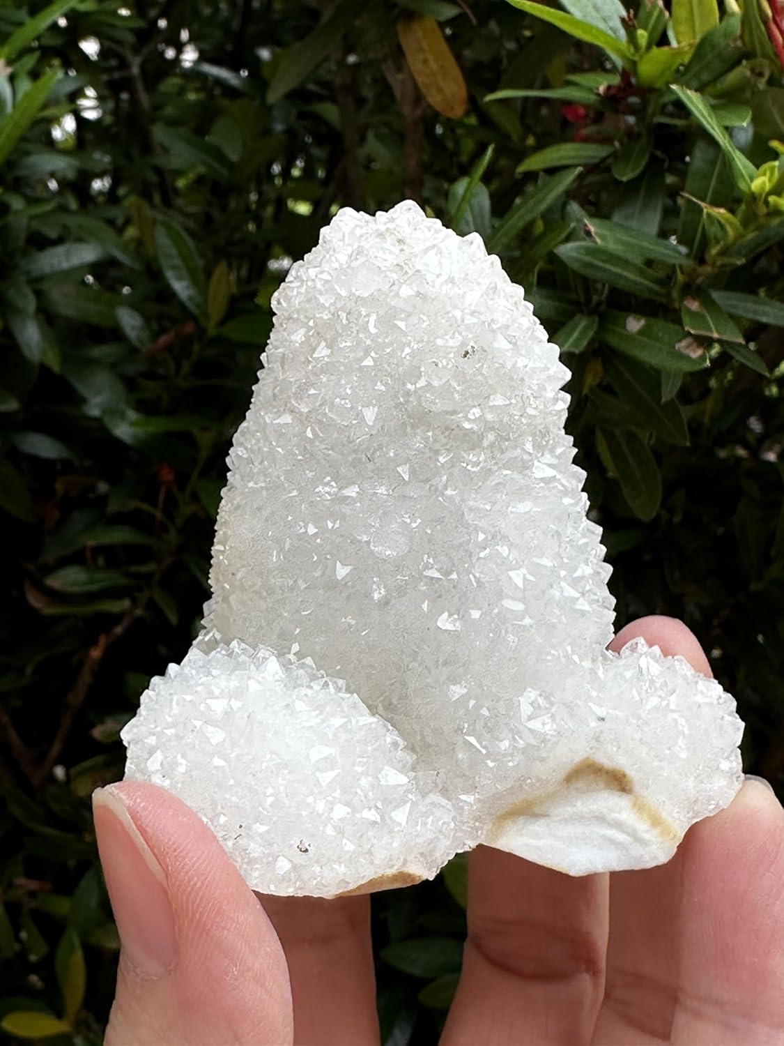 GAF TREASURES Chalcedony & Crystal Quartz Stalactite 3-8", Natural Quartz on Chalcedony Stalactite Specimen (0.25-0.5 lb)