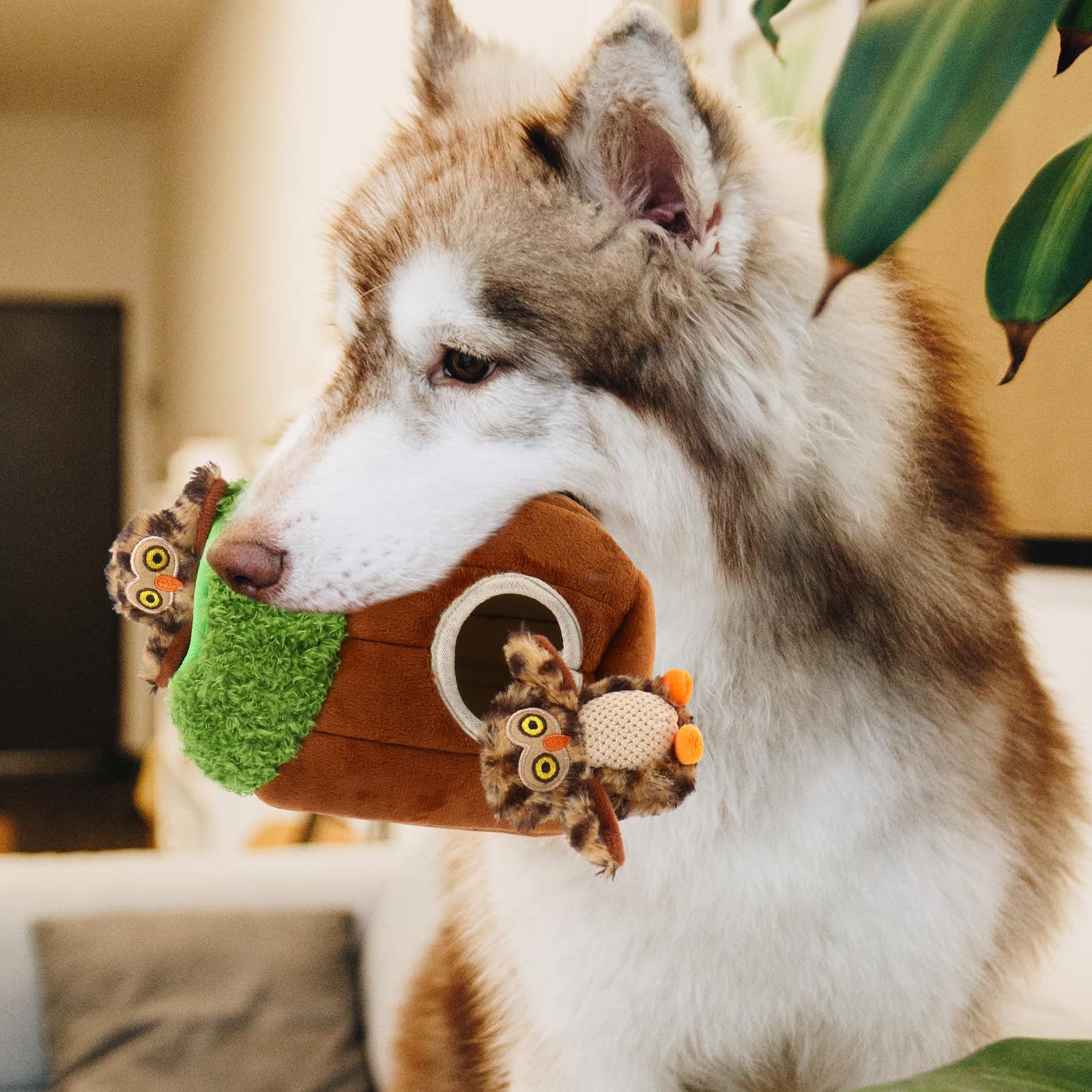GALPADA Jouets en Peluche Interactifs Favorisant Le Développement Musculaire Mâchoire Mastication pour Chien d'animaux Lot de 4 Adaptés à L'activité Cache-Cache