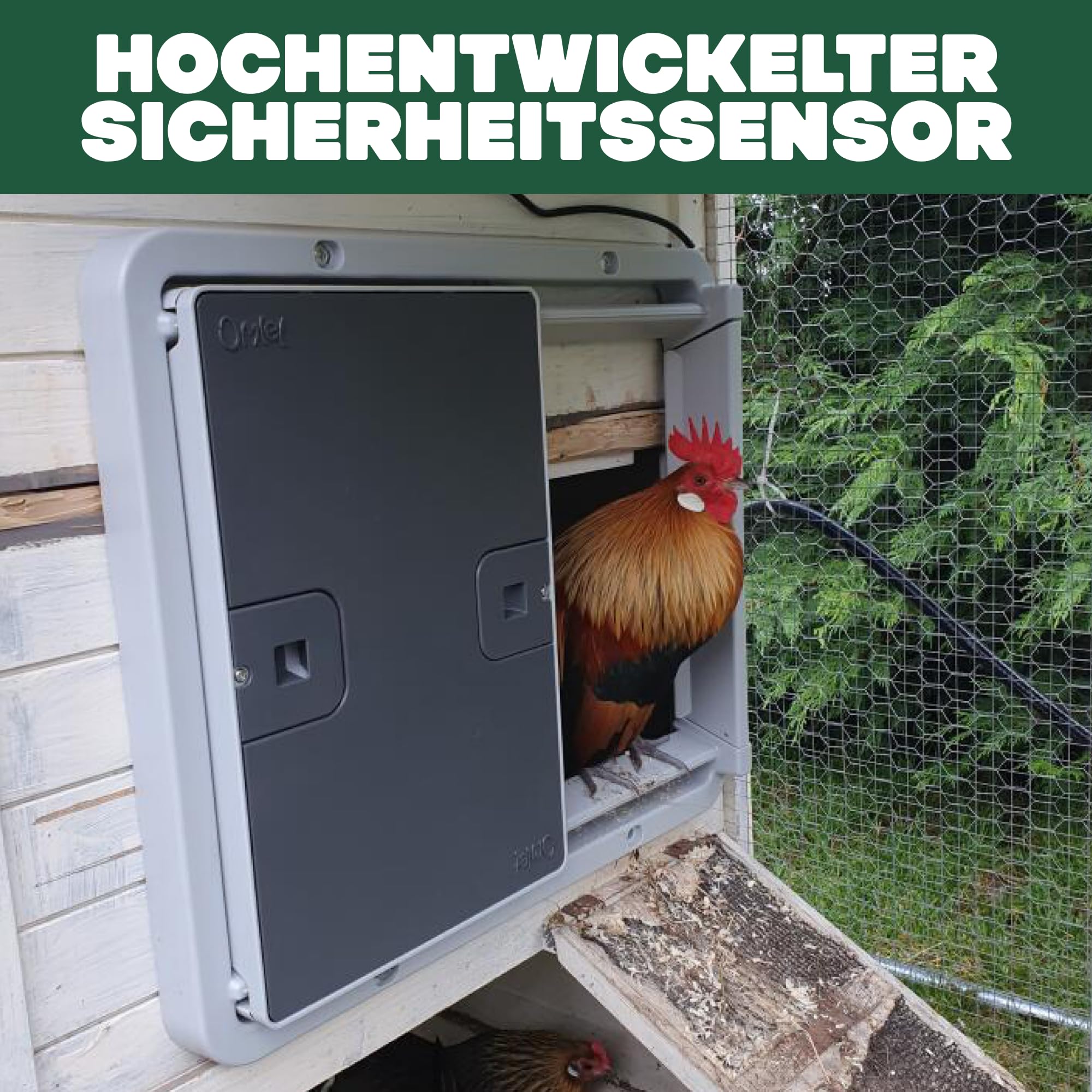Omlet Intelligente Automatische Hühnerstalltür mit WLAN | Smarte Hühnerklappe per App programmierbar | Lichtsensor oder Timer | Einfache Installation | Netz- oder Batteriebetrieb | Grau