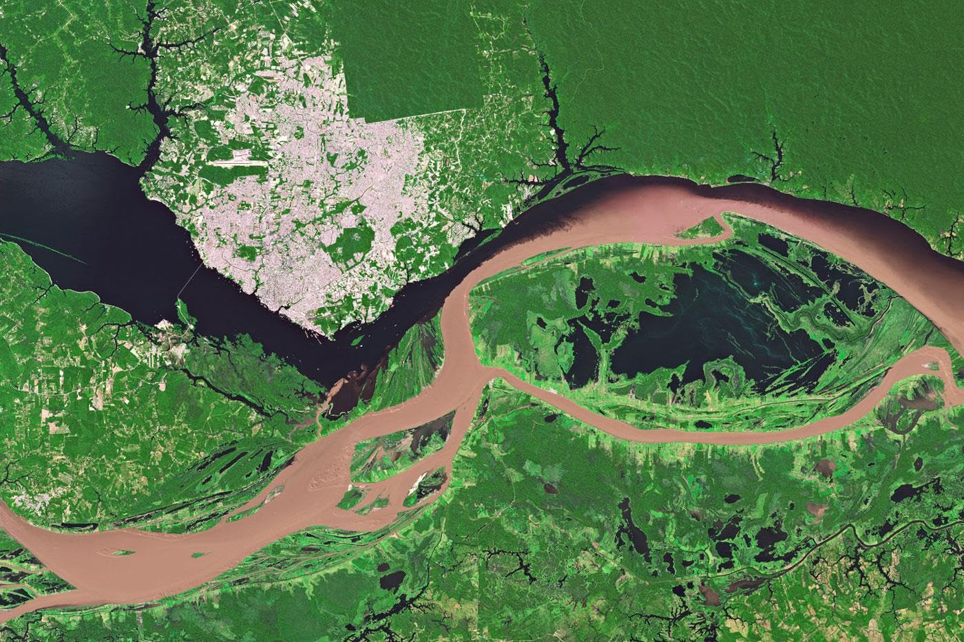 WATER IS LIFE: 50 Years of the IHP and 60 Years of Water Sciences at UNESCO