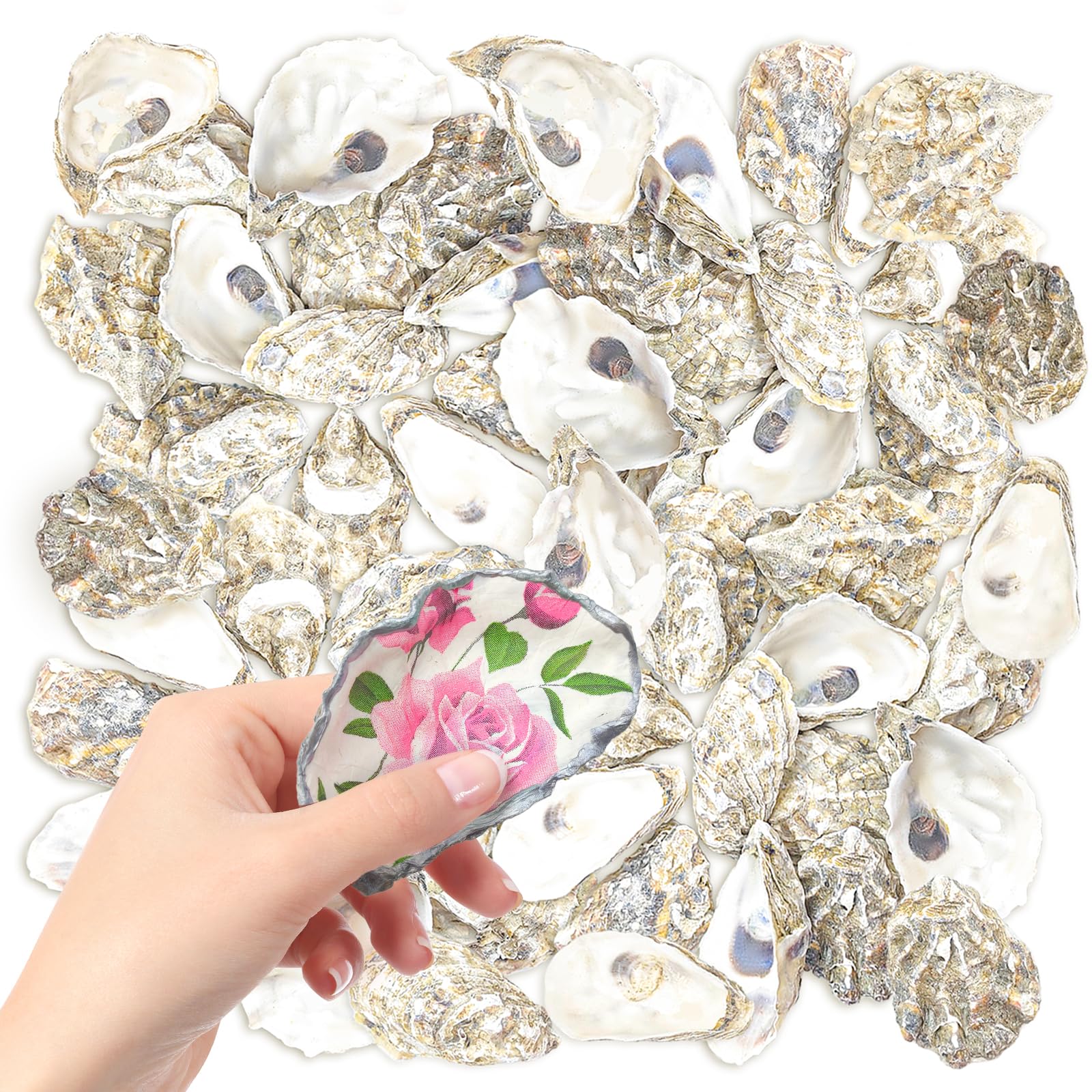 YOUKE OLA 50PCS Oyster Shells 3"-4" Oyster Shells Bulk Oyster Shells for Home Decor Vase Filler, Ornaments, DIY Arts and Crafts Sea Shells, Deeper Shells