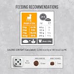 Nutrience Infusion Aliments pour chiens de race petite pour adultes, 5 kg (11 lbs), poulet canadien congelé, aliments pour chiens secs, Nourriture Pour Chien, Manger Pour Chiin