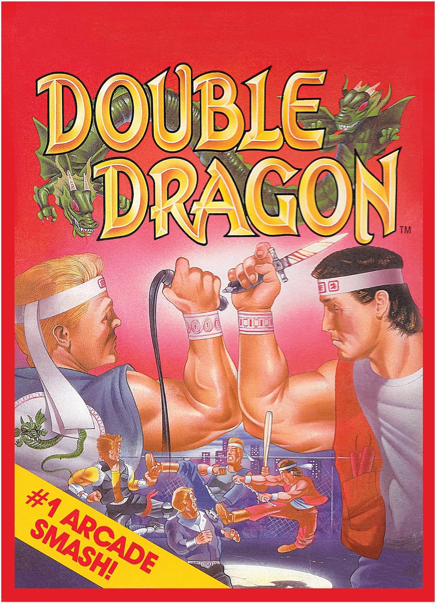 Double Dragon NES Cartridge 1000-Piece Jigsaw Puzzle | Toynk Exclusive