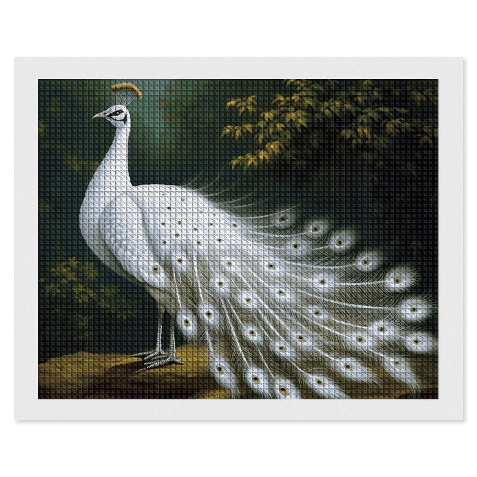 NONHAI Diamond Painting Kits for Adults - DIY Diamond Art Kits for Beginners - Full 5D Paint Drill Diamond Dots Paintings- White Peacock Diamonds Pictures Gem Art and Craft Wall Decor 16"x20"