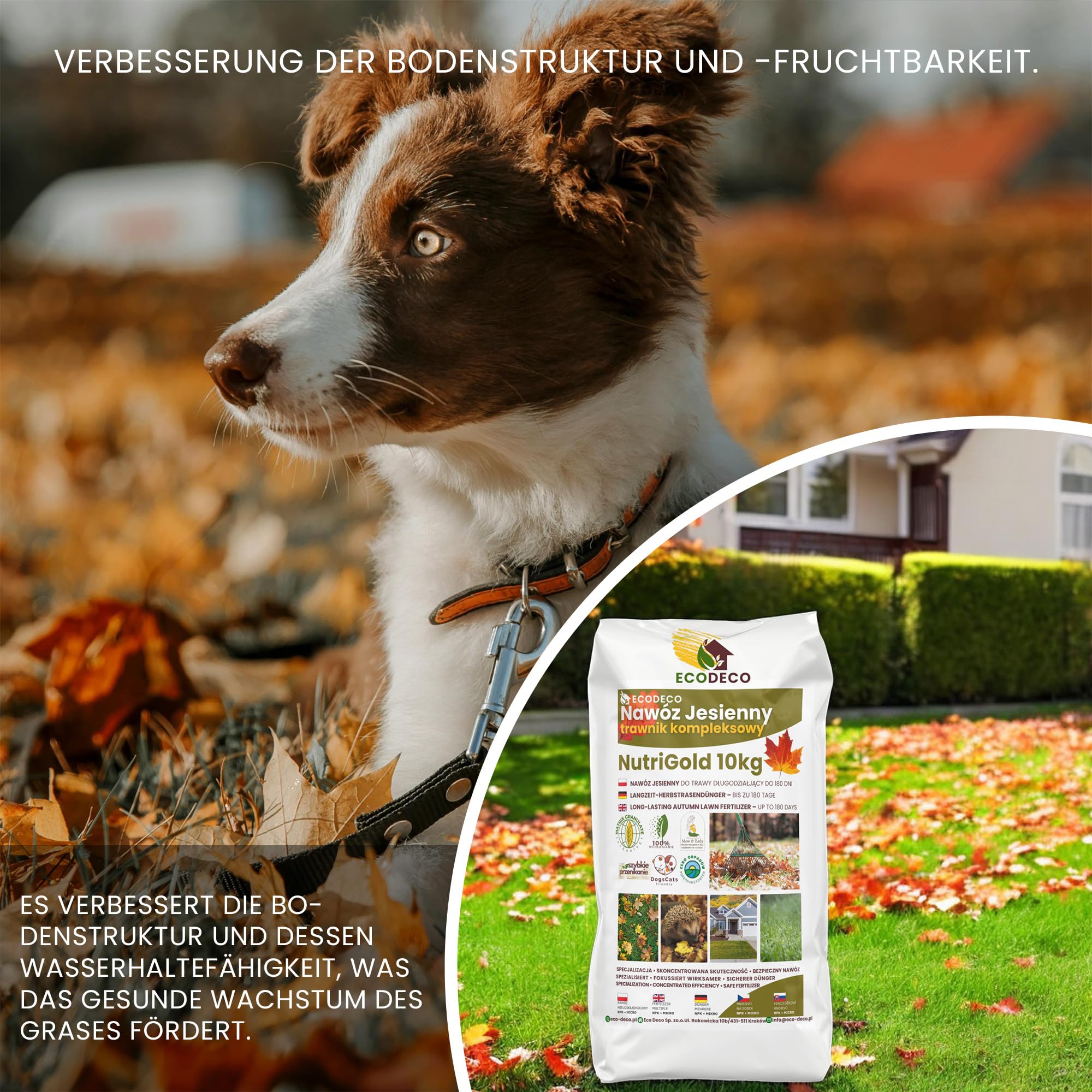 EcoDeco Herbst Rasendünger 10kg für 500 m² | Herbstdünger Rasen Winterfest mit Kalium und Phosphor | Herbstrasendünger verdrängt Moos | Turbogrün Rasendünger mit Über 3-Monatiger Wirkung