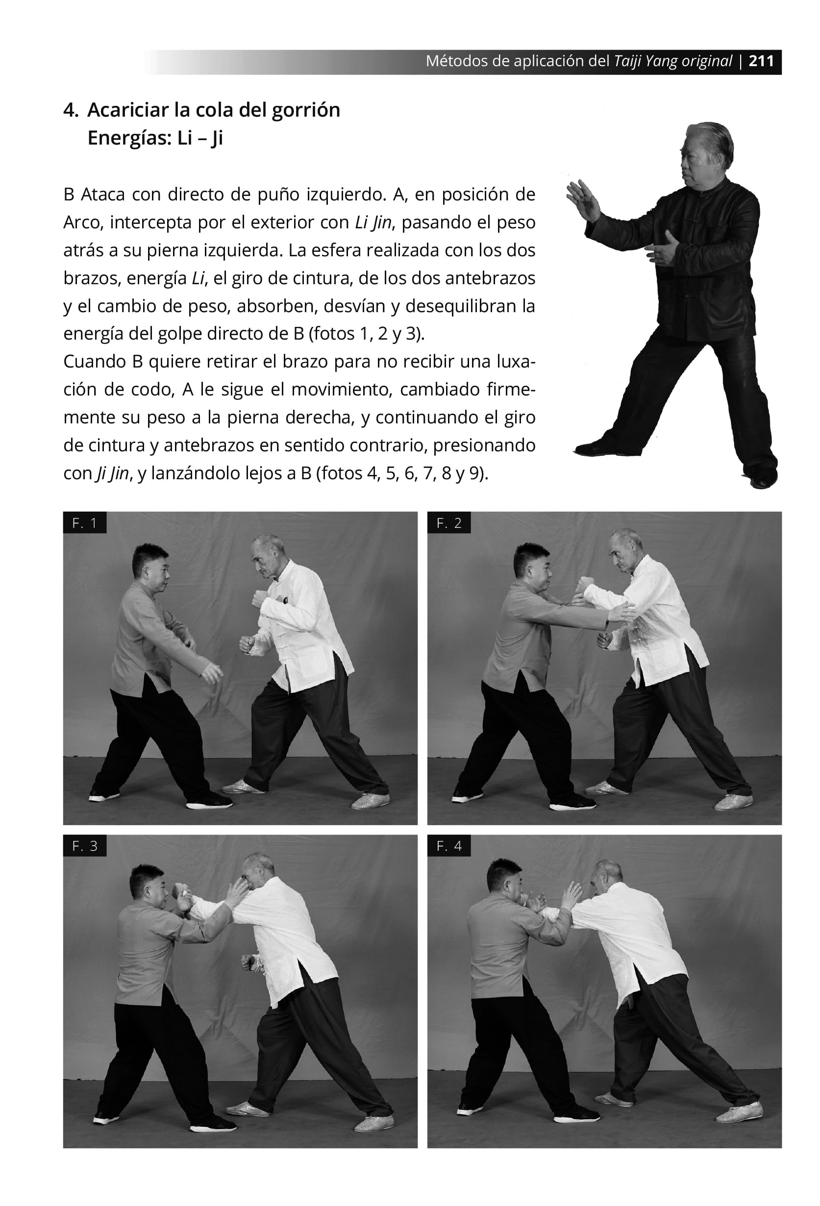 Métodos de aplicación del Taiji Yang original