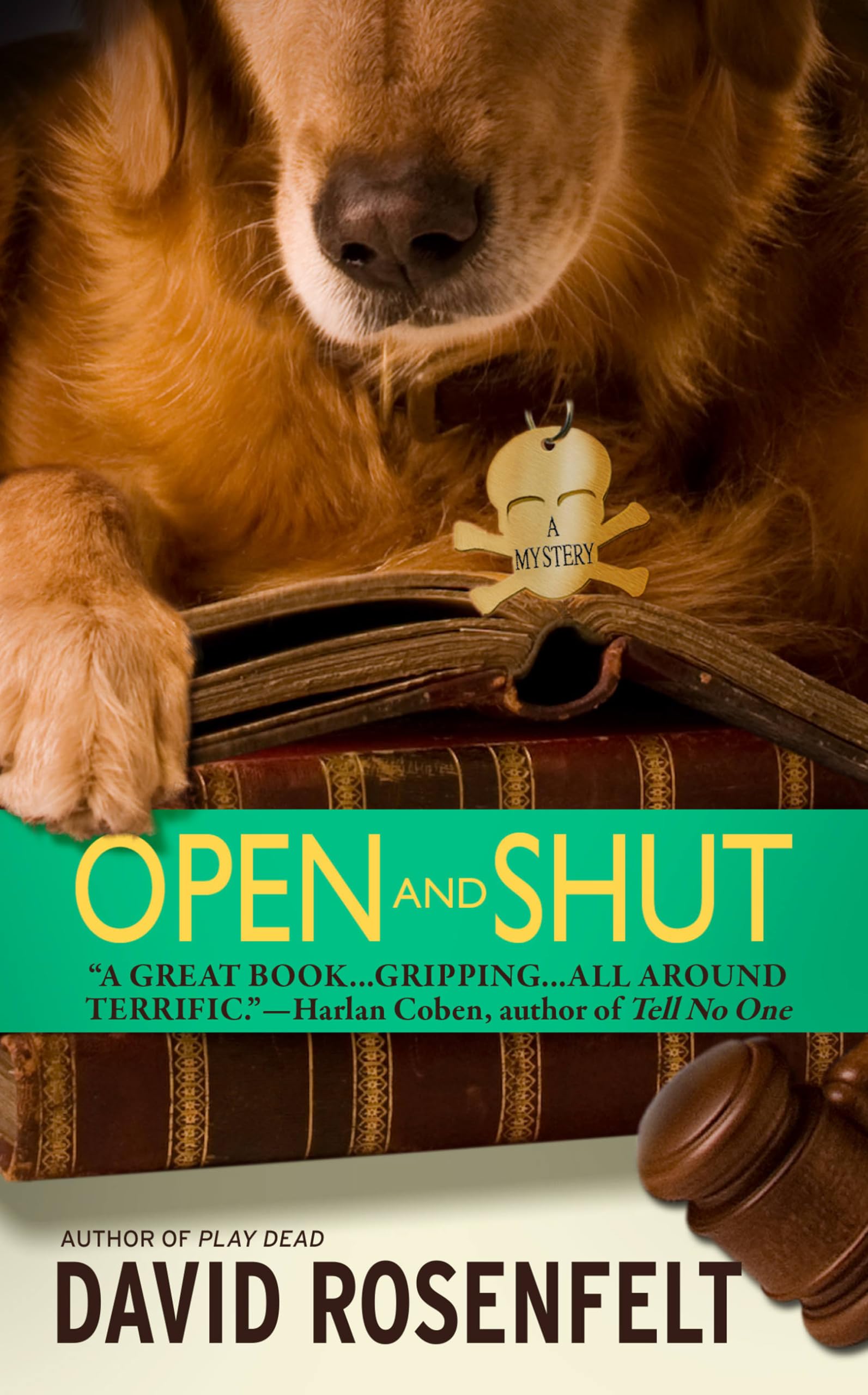 Open and Shut (The Andy Carpenter Series, 1) Mass Market Paperback – May 1, 2003