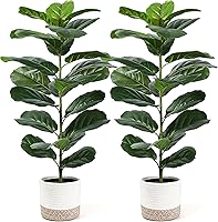 DerRose 2-Pack 30" Realistic Fiddle Leaf Fig Artificial Trees - Fake Ficus Plants w/ LED Lights for Indoor Outdoor Home Office Decor