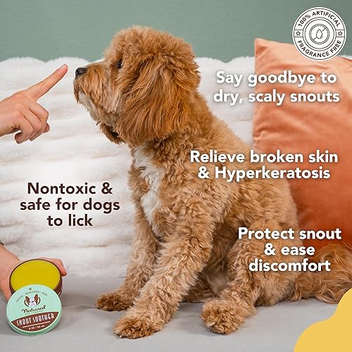 Miniatura 3 de SNOUT SOOTHER Natural Dog Company, remedio para nariz de perro agrietada, seca y endurecida 2oz
