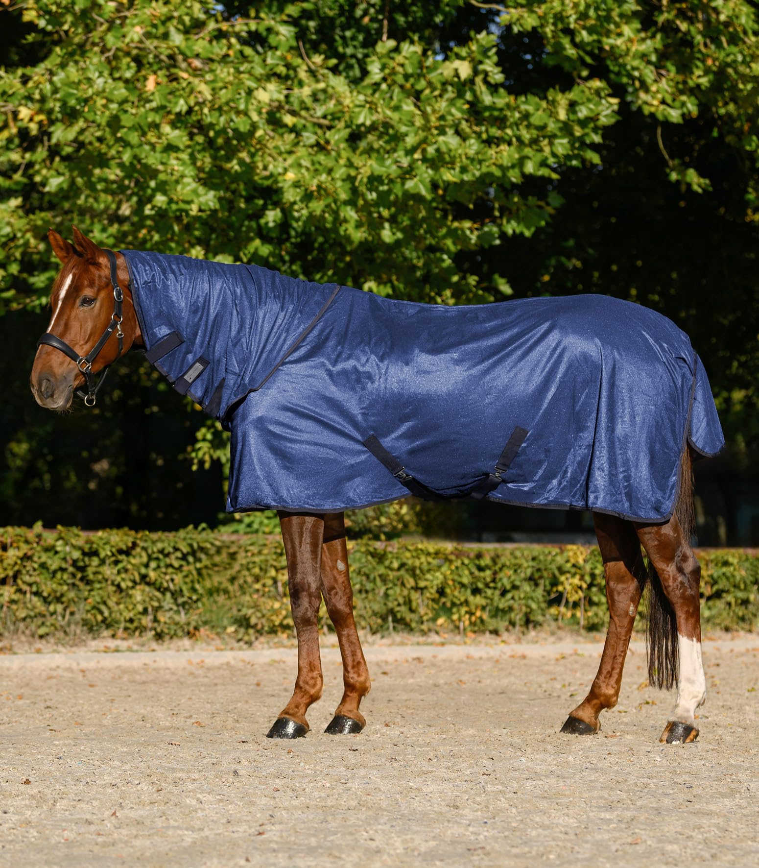 Waldhausen FlyControl - Coperta per mosche con collo, 155 cm, colore: Blu