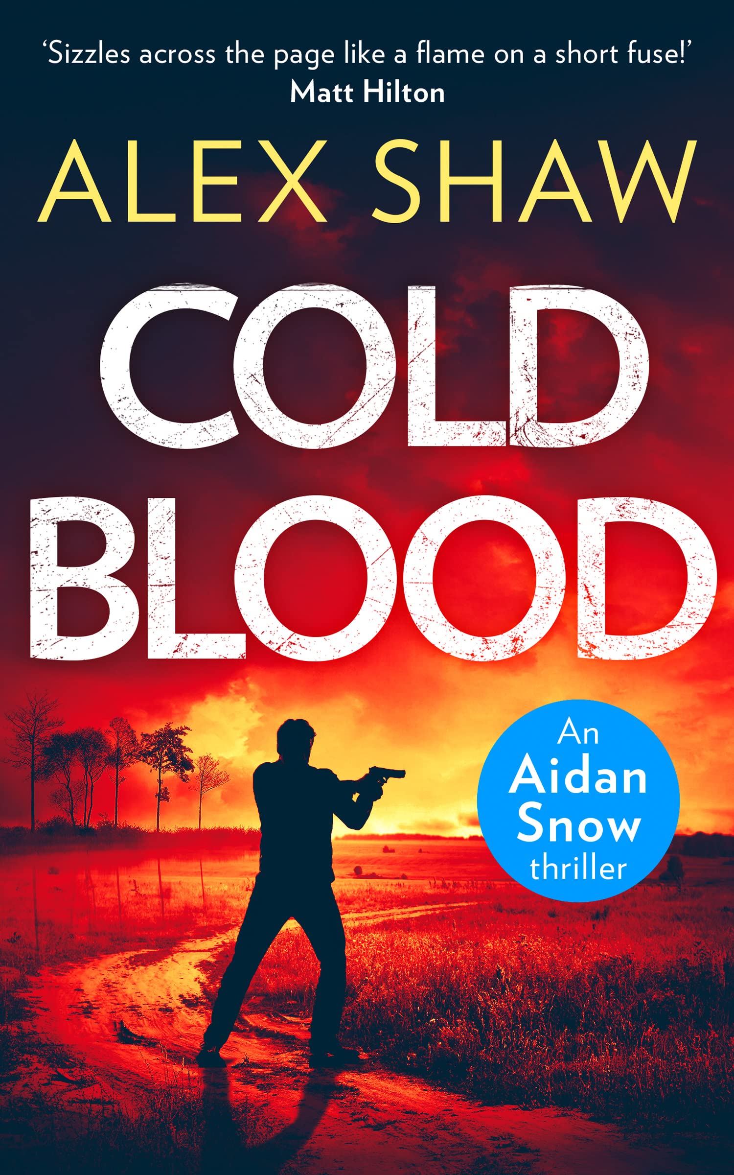 COLD BLOOD: An explosive, SAS action adventure crime thriller that will keep you gripped: Book 1 (An Aidan Snow SAS Thriller)