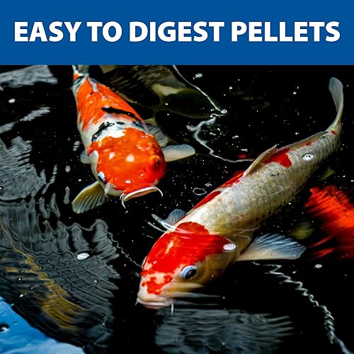 Miniatura 5 de The Pond Guy Alimento básico para peces koi y peces de colores, pellets flotantes de elección para el bienestar y la salud de los peces, nutrición