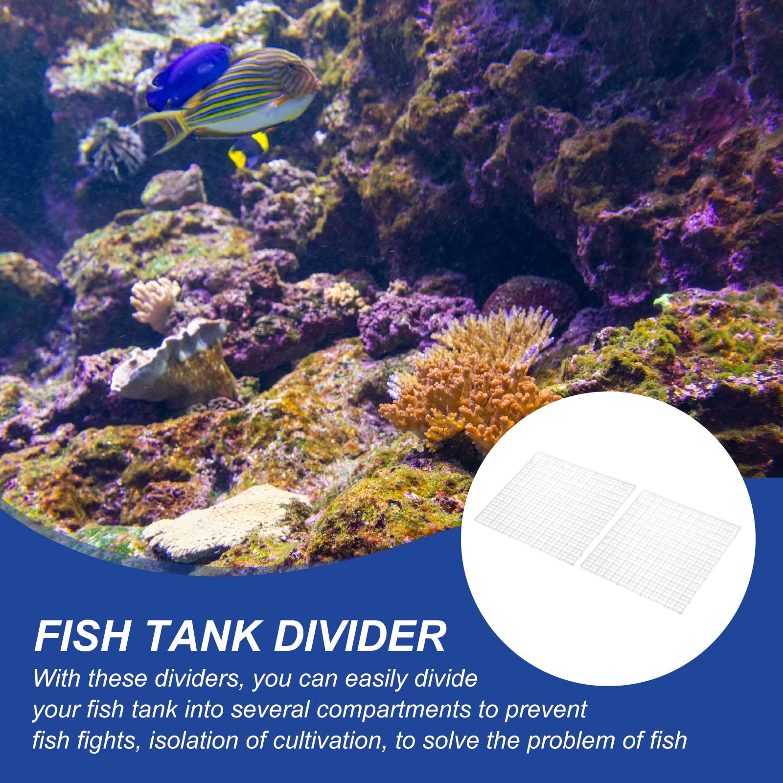 sourcing map Lot de 4 séparateurs d'aquarium, 30,5 x 30,5 cm en plastique pour cage à œufs, diffuseur de lumière, séparateur inférieur avec ventouses et ventouses pour aquarium, transparent
