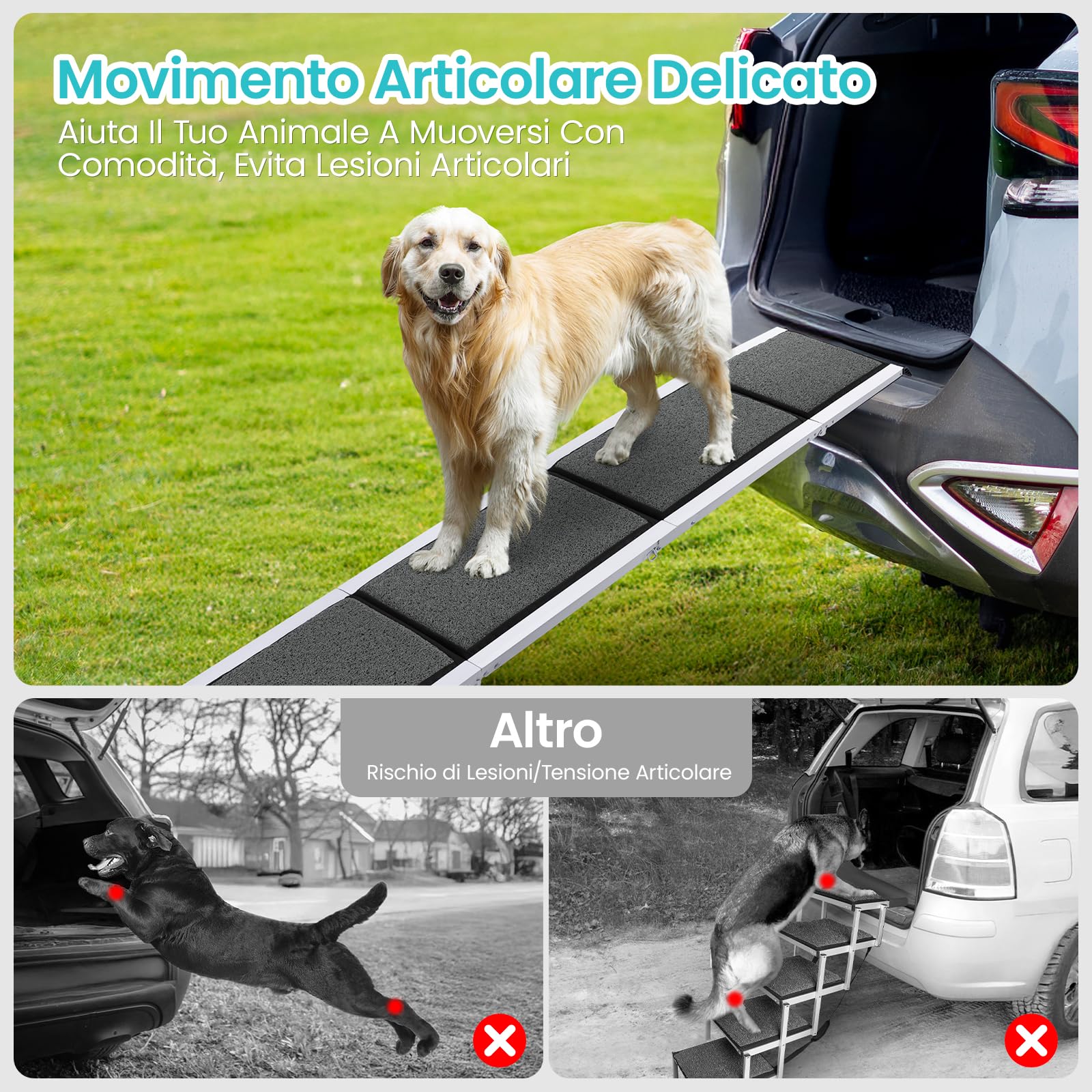 DAISTERN da BSWAY Rampa Auto per Cani Pieghevole 170cm x 44cm, Scaletta Pedana Auto Cane con Superficie Antiscivolo, Telaio Metallo Alluminio, Ideale per Auto SUV Camion Letto, Portata Massima 129KG