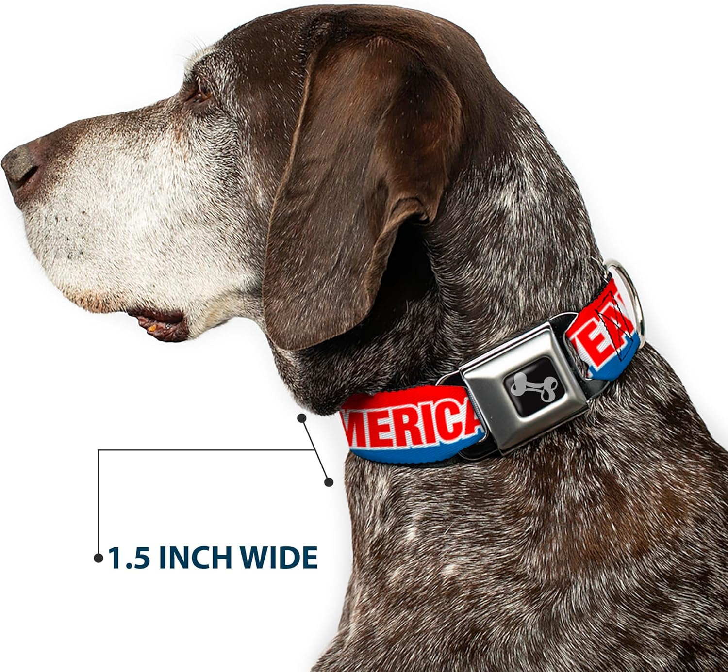 Dog Collar Seatbelt Buckle America Fuck Yea Red White Blue 11 to 17 Inches 1.0 Inch Wide