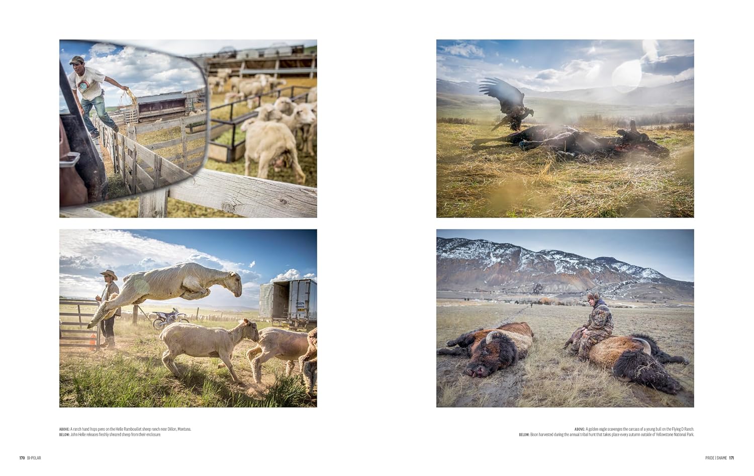 Bi-Polar: Photographs from an Unquiet Mind