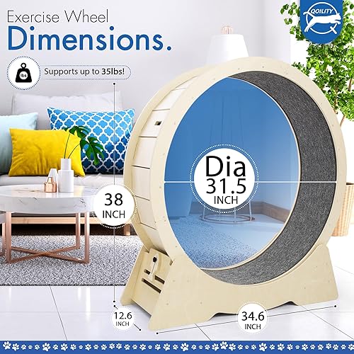 Miniatura 3 de QOILITY Caminadora para gatos de interior, ruedas de bajo ruido para gatos de interior, fitness y salud, adecuada para la mayoría de los gatos