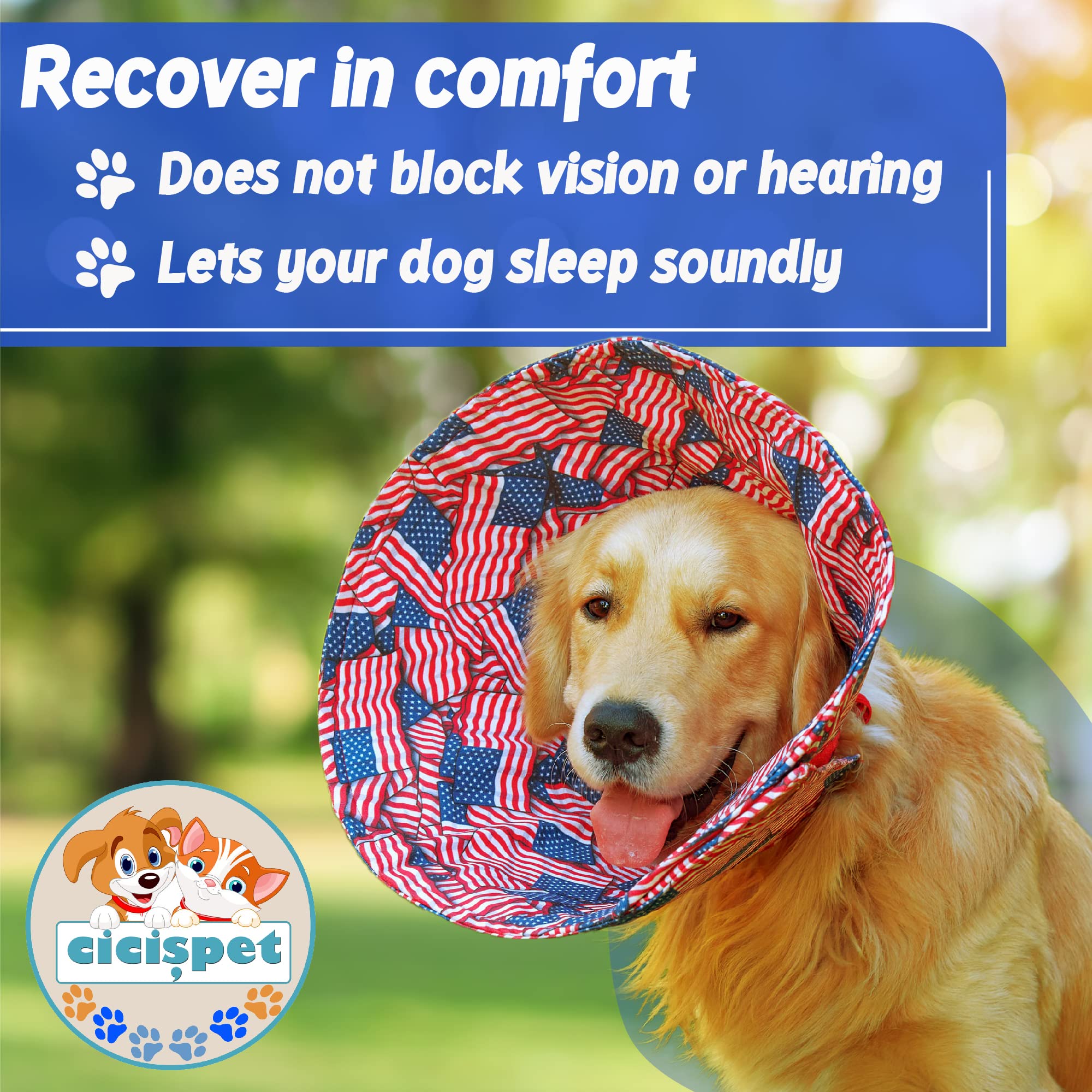 Can Dogs Regain Their Hearing