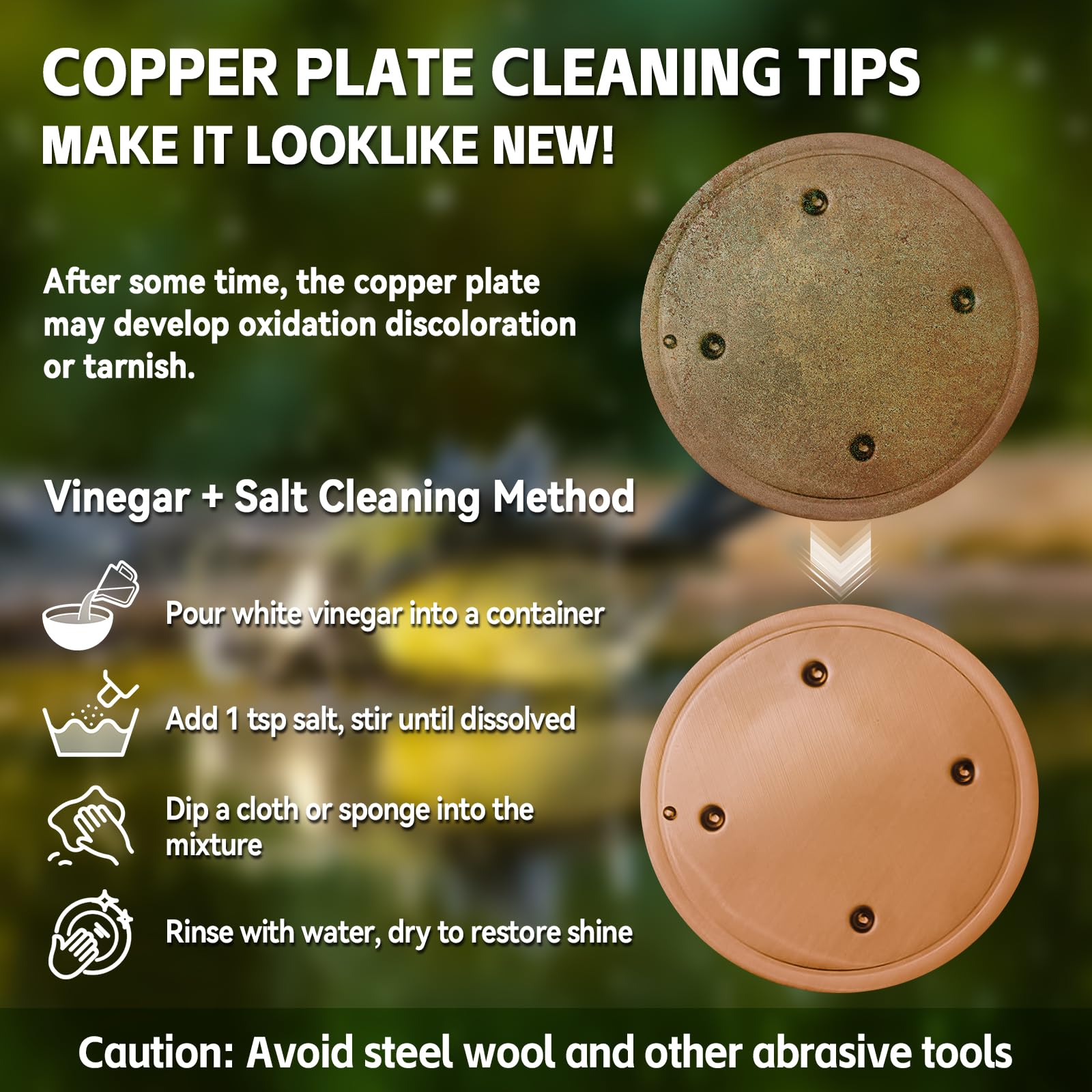 Lot de 6 disques de purification pour bain d'oiseaux, 99,99 % cuivre pur, 0,6 mm, garde l'eau propre et fraîche pour intérieur extérieur, jardin, cour, terrasse