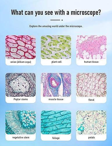 Miniatura 8 de Microscopio compuesto binocular 40X-2000X, microscopio profesional de grado de investigación con platinas mecánicas duales y perillas coaxiales de