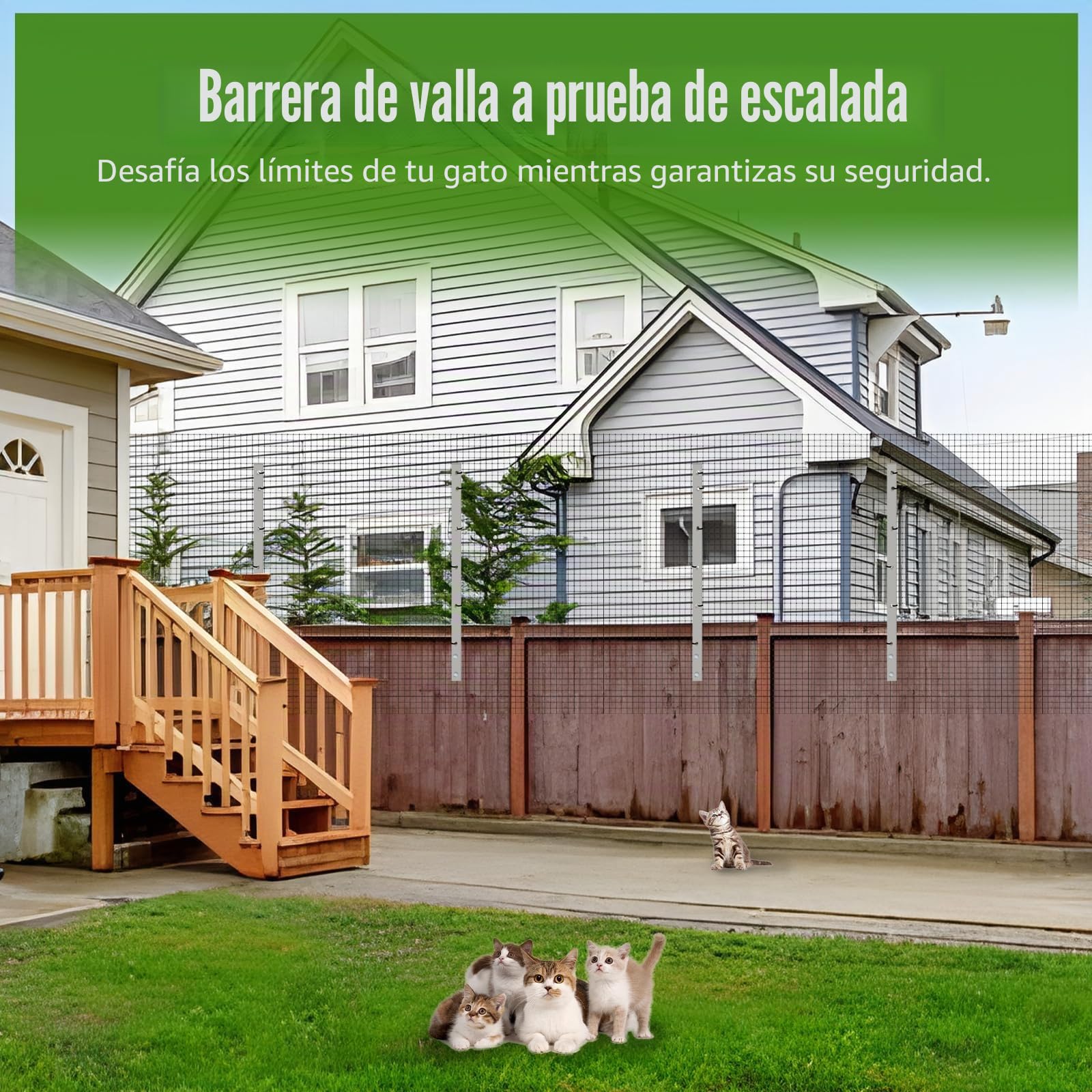 Valla a Prueba de Gatos, Soportes de Pared inoxidables, Barrera antiescalada, protección antiescalada Resistente al óxido (5 Soportes y Red para Gatos de 10 m)