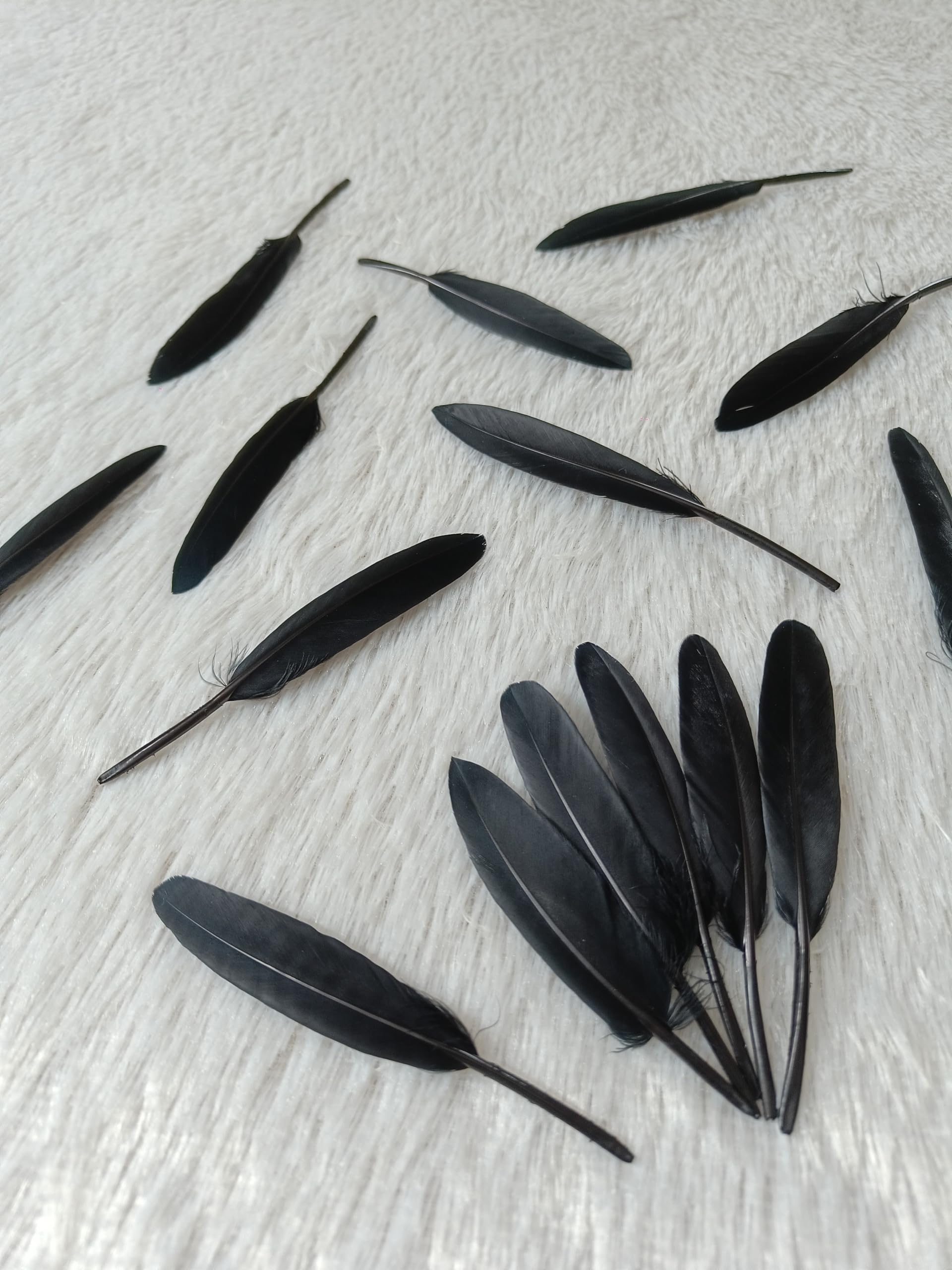 Premium Goose Feathers for Crafts (10 Pcs, 4–5 Inch) | Bright Decorative Feathers for DIY Projects, Dreamcatcher Making, Art & Craft Decoration | Vibrant Craft Feathers (Black) 1
