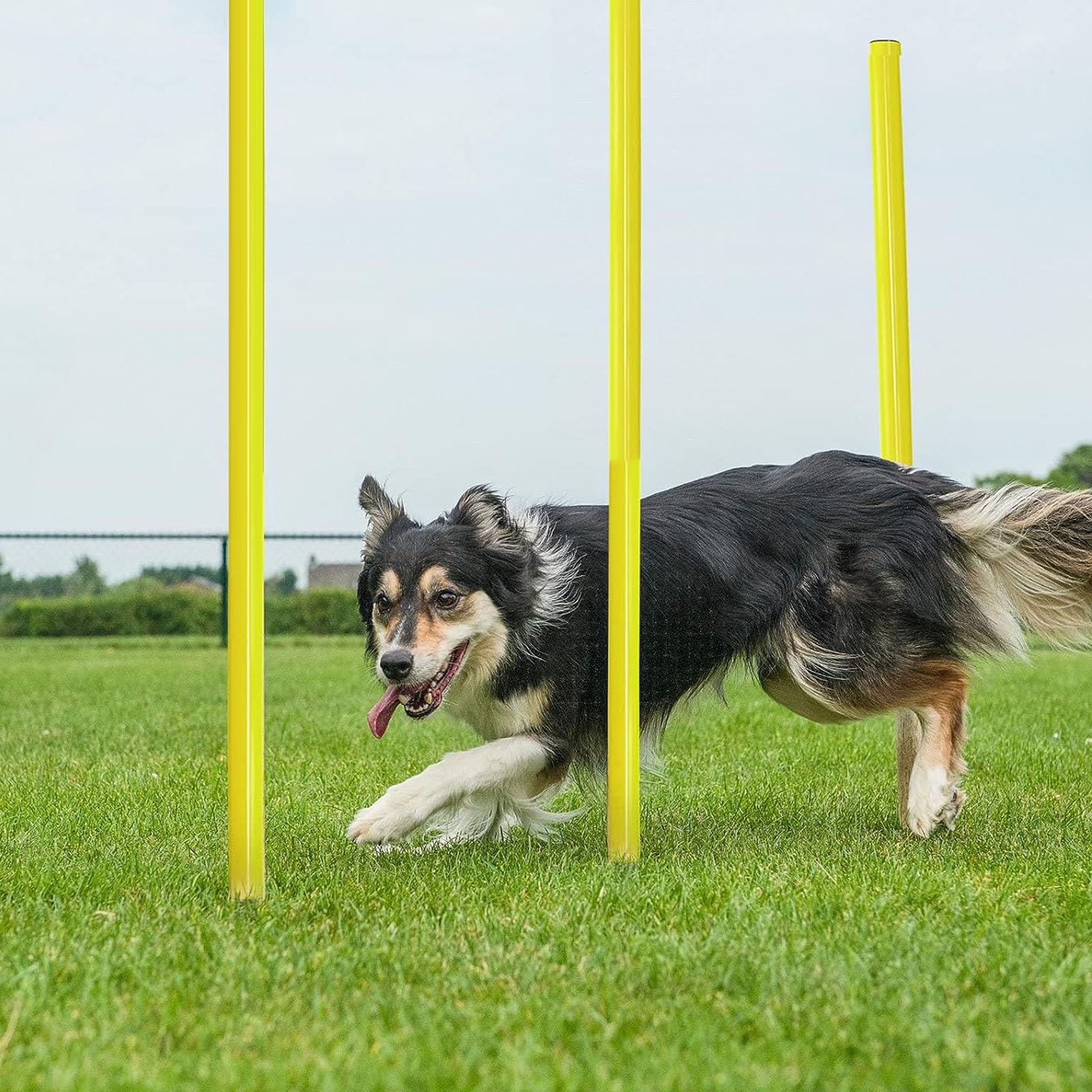 ZAQYCM Slalomstangen Fussball Agility Stangen Gymnastik Geschwindigkeit Slalomstangen Mit Sockel, Agility Trainingsstock Für Fußball, Pferd Und Hunde, Fußball/Basketball/Volleyball Trainingshilfe