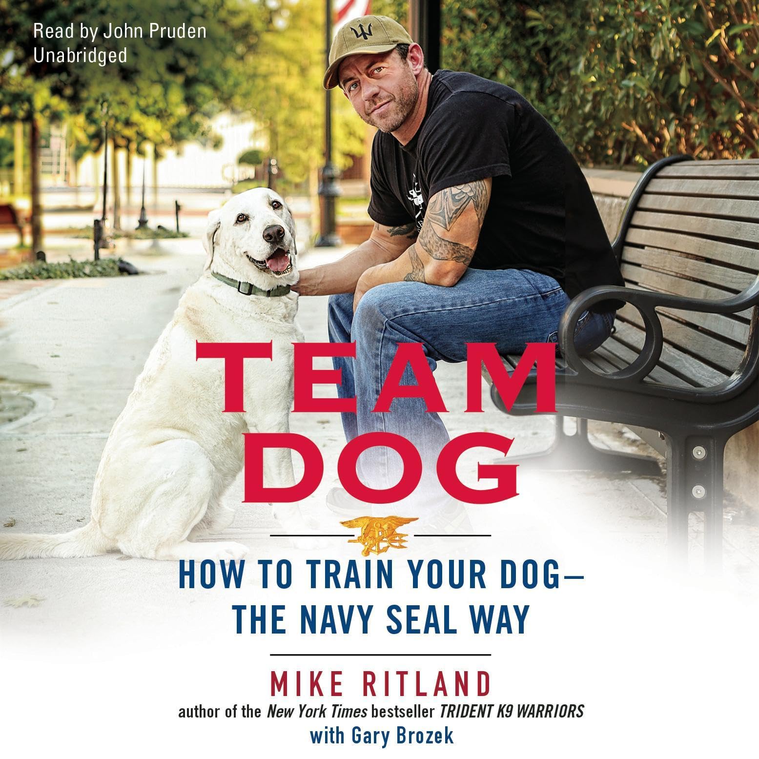 Cover art for Team Dog
