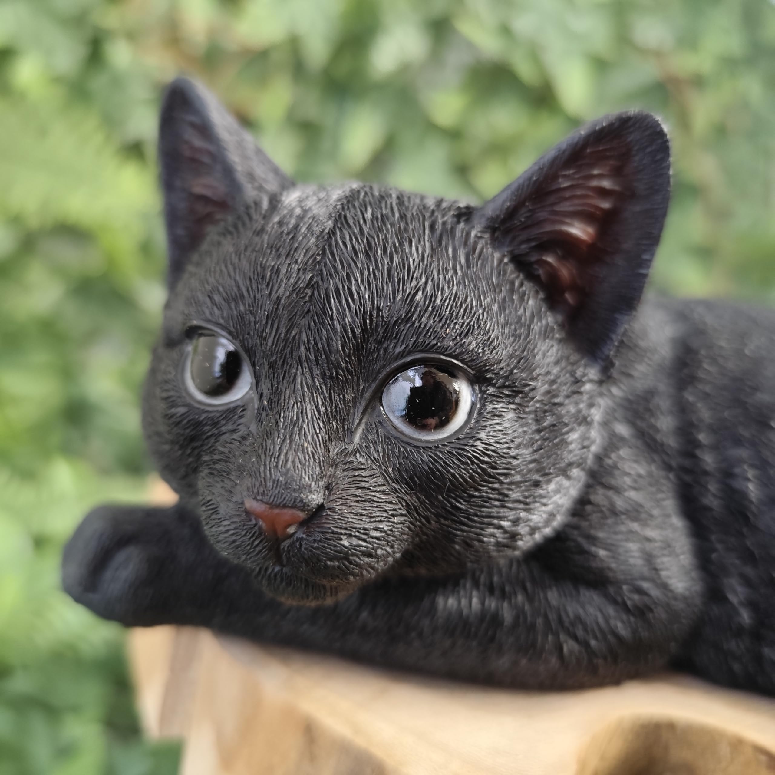 Vivid Arts - Laying Black Cat - XRL-DC61-D : Amazon.co.uk: Garden
