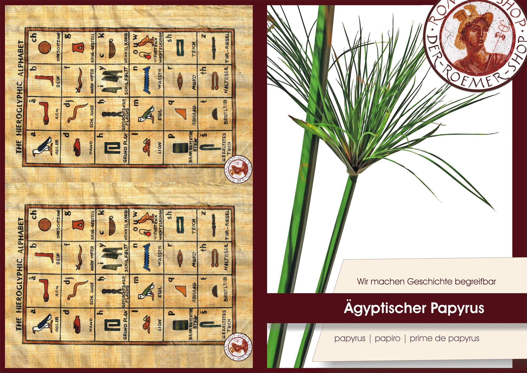 Papyrus – foglie 10 fogli bianchi naturale-Papyrus 30 x 20 cm in Egitto per le scuole e l' insegnamento in Bogen