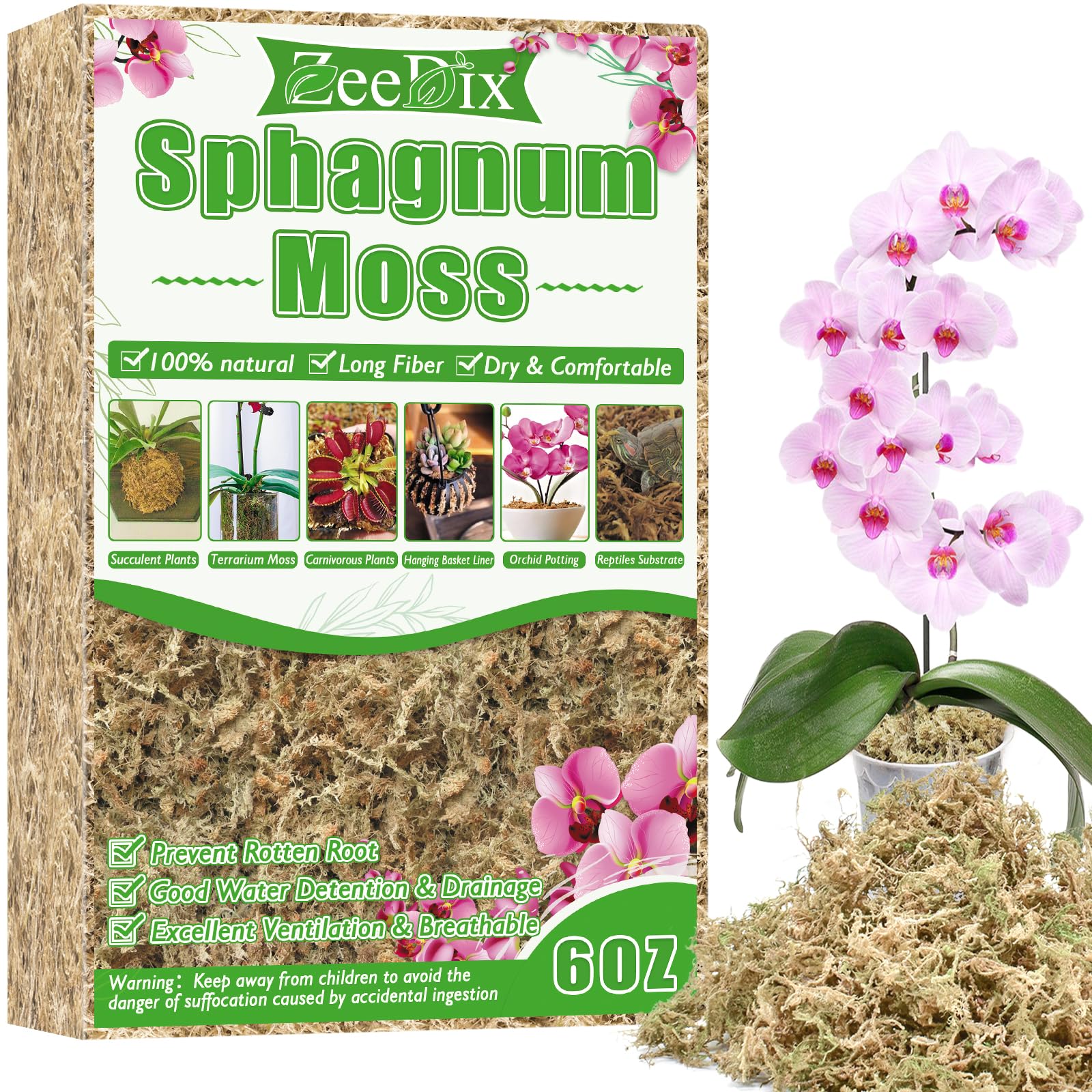 Amazon.com : ZeeDix 6 oz Sphagnum Moss for Plants Indoor, Long