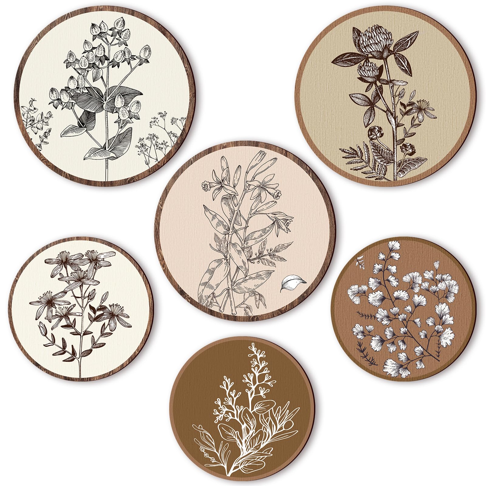 Barydat 6 Pieces Boho Plant Wall Art Decor Wooden Boho Farmhouse Rustic Bohemian Wall Hanging for Bedroom Living Room Office(Vivid Round,8 Inch, 10 Inch)