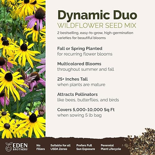Miniatura 2 de Eden Brothers Dynamic Duo - Echinacea & Black Eyed Susan Mix