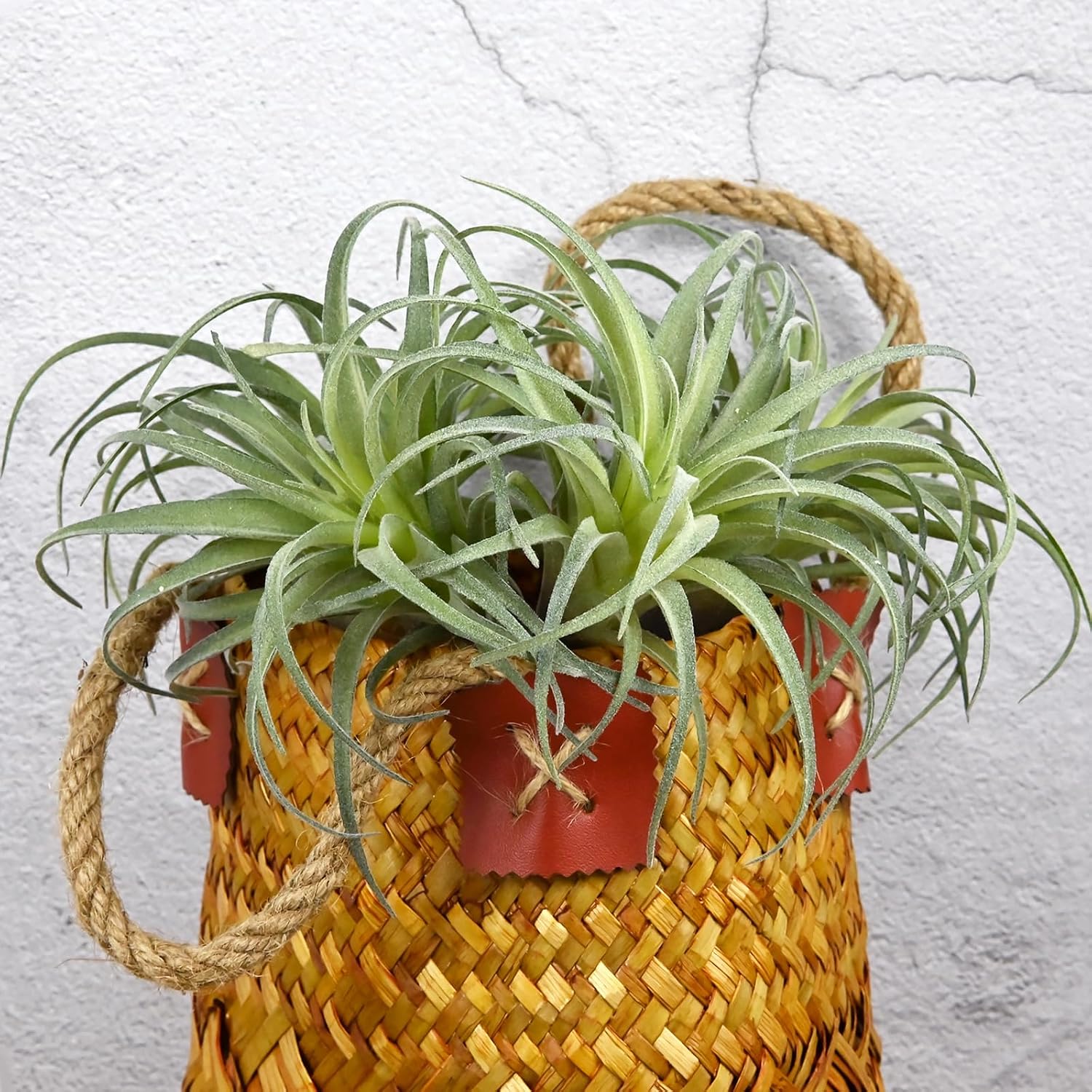 Fake Artificial Tillandsia Air Plants, 4pcs Flocked Green Faux Bromeliads for Home Decor Realistic Stems (Medium)