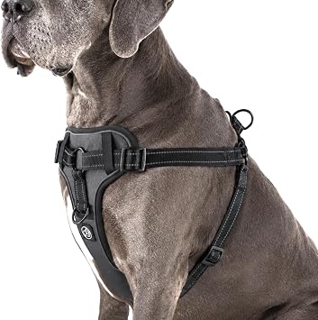 EVERKING Front Clip No Pull Dog Harness for Medium & Large Dogs