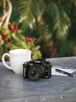 Amazon.com : Panasonic Lumix DMC-G10 12.1 MP Live MOS