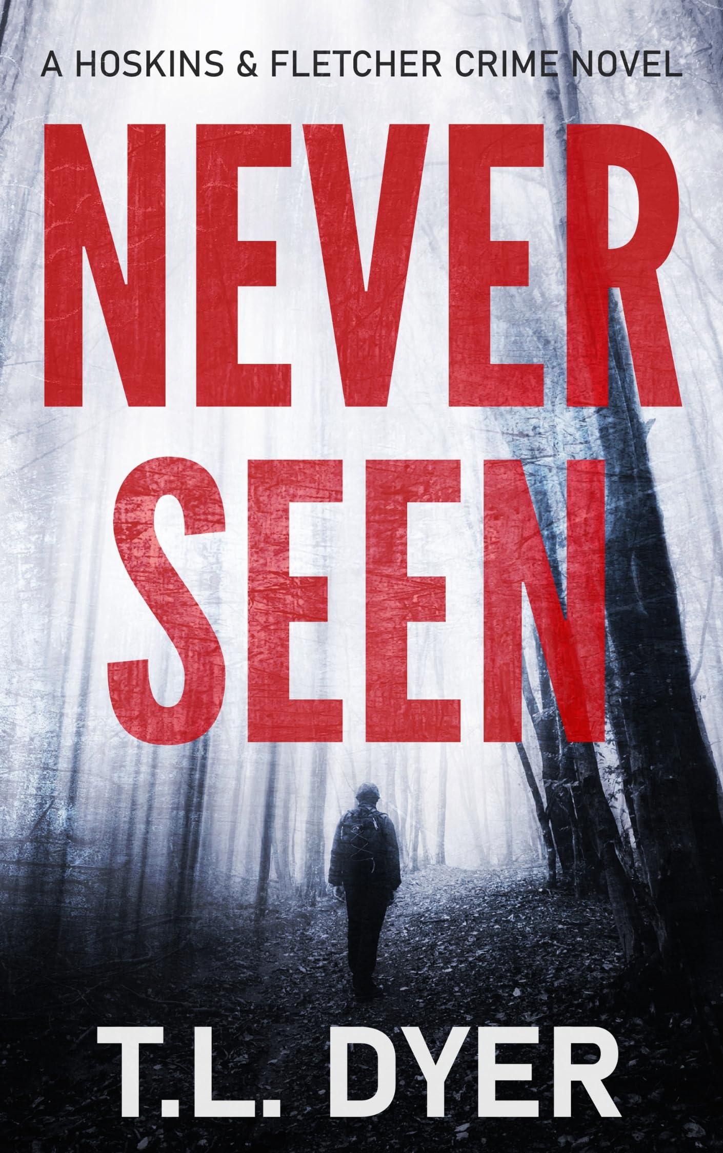 Never Seen (Hoskins & Fletcher Book 1)