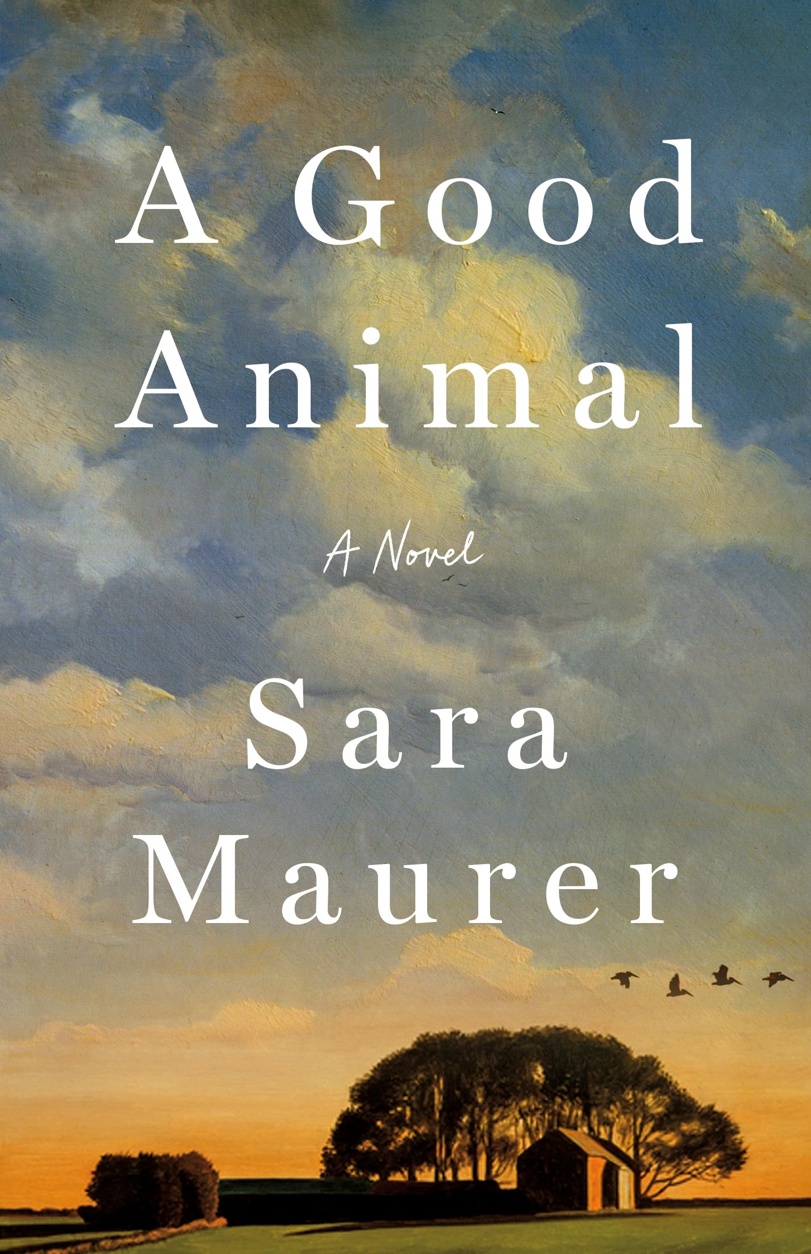 A Good Animal A Novel by Sara Maurer (Hardback Book)