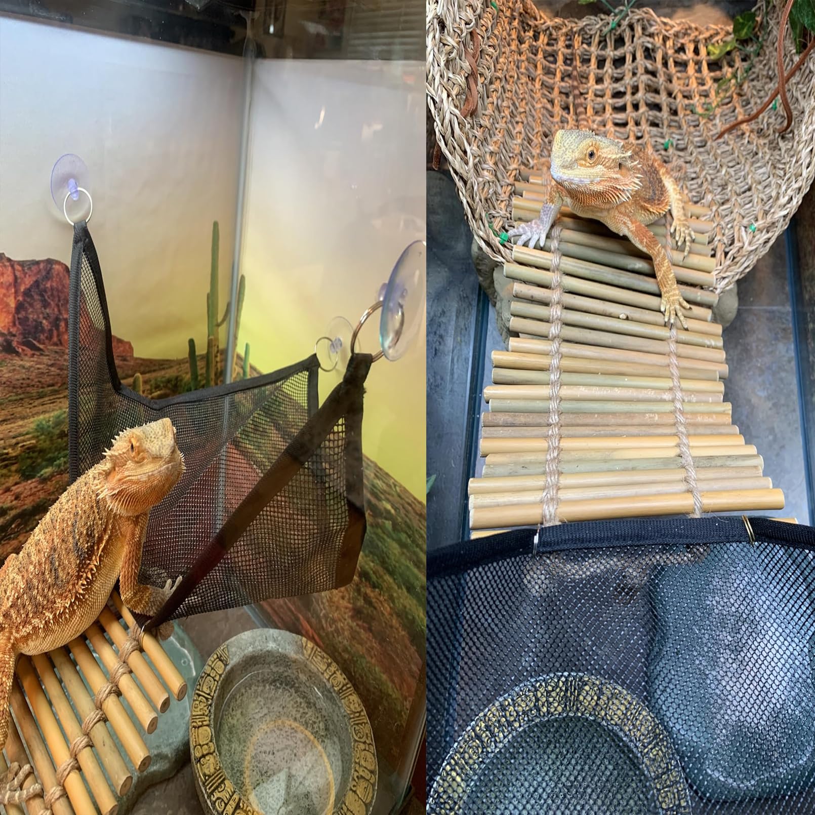 kathson Pont pour reptiles en bois avec motif dragon barbu - Hamac gecko avec plantes suspendues - Chaise longue en bambou - Accessoire d'escalade pour léopard, geckos, caméléons, serpents (3 pièces,