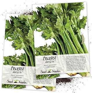 Seed Needs, Utah 52-70 Celery (Apium graveolens) Twin Pack of 1,000 Seeds Each Non-GMO