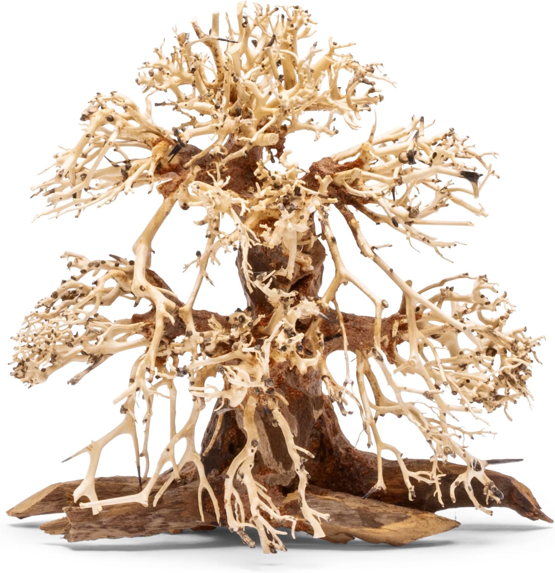 Ultum Nature Systems Bonsai - Handcrafted Hardscape Driftwood for Aquarium, Terrarium, Vivarium, Natural Aquascape Hardscape Decorations, Aquascaping Hardscape for Live Aquatic Plants - 002, Small