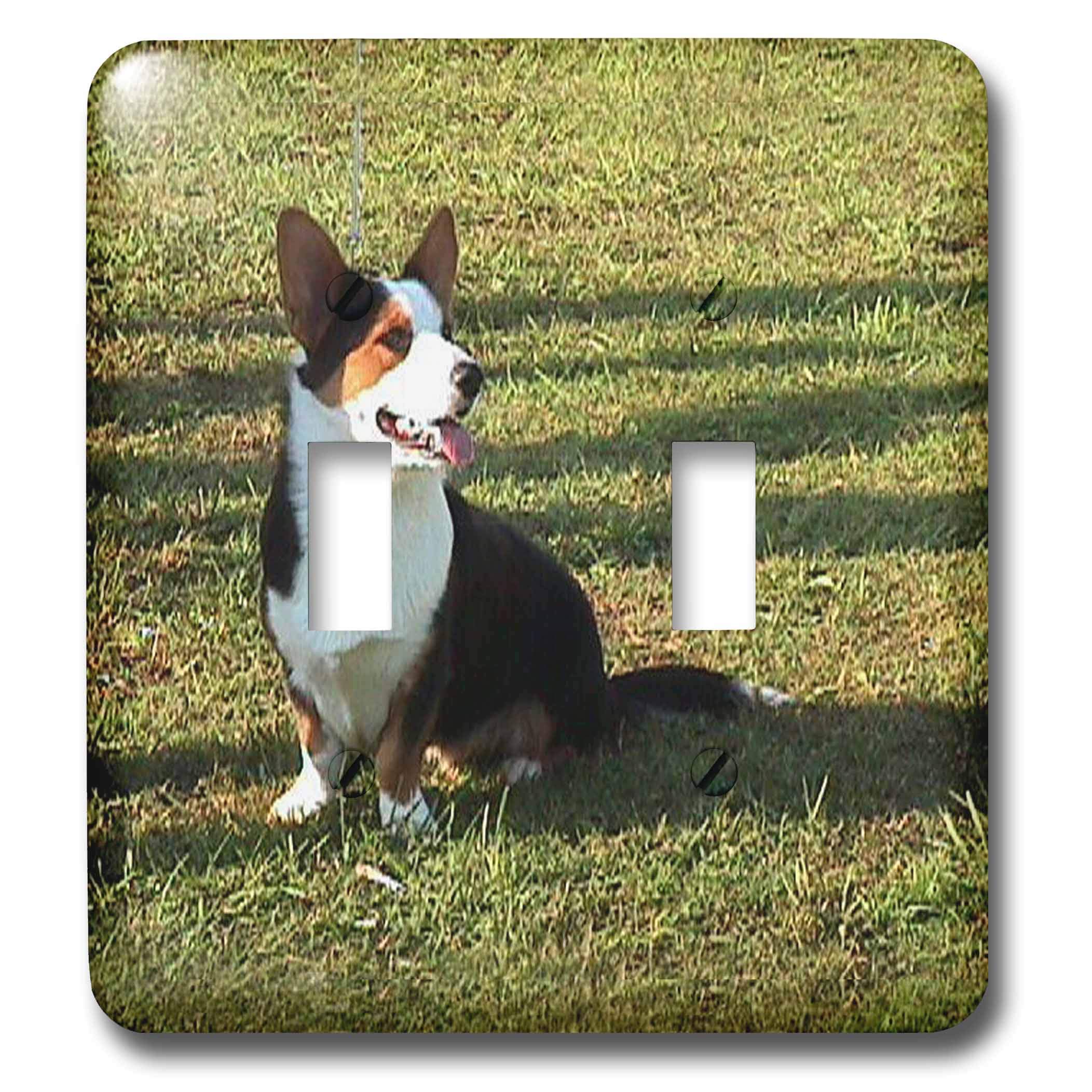 Cardigan gallois Corgi interrupteur à bascule double décoratif