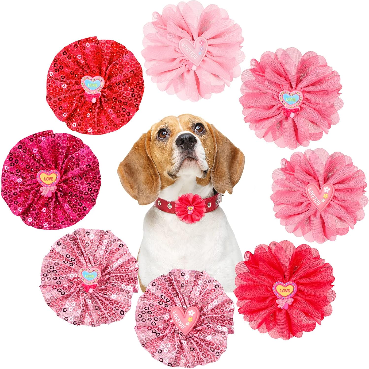 dog collar flower attachment