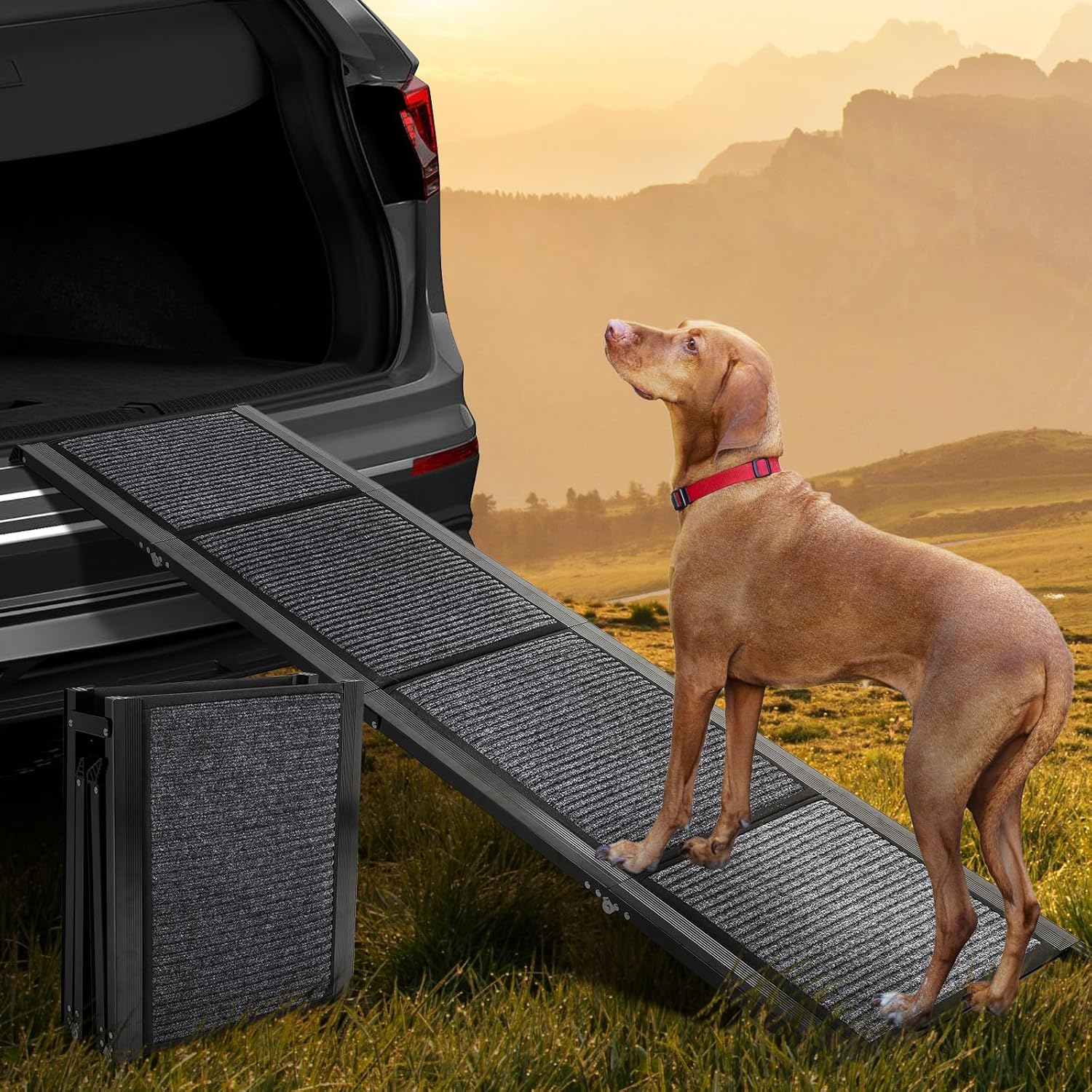 Dollate 71″ Long Dog Ramp for Car,17″ Wide Foldable Dog Ramps for Large Pet with Non-Slip Rug Surface,Up to 250 LBS for Car, SUV & Truck-L