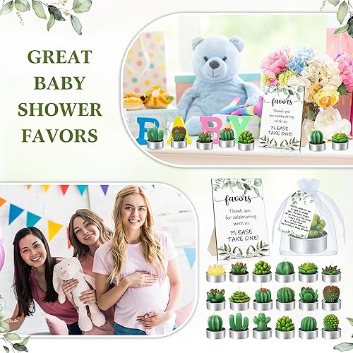 Miniatura 7 de MTLEE 36 juegos de velas suculentas, recuerdos de baby shower, para invitados, incluyen 36 velas de té de plantas, 36 etiquetas de agradecimiento,