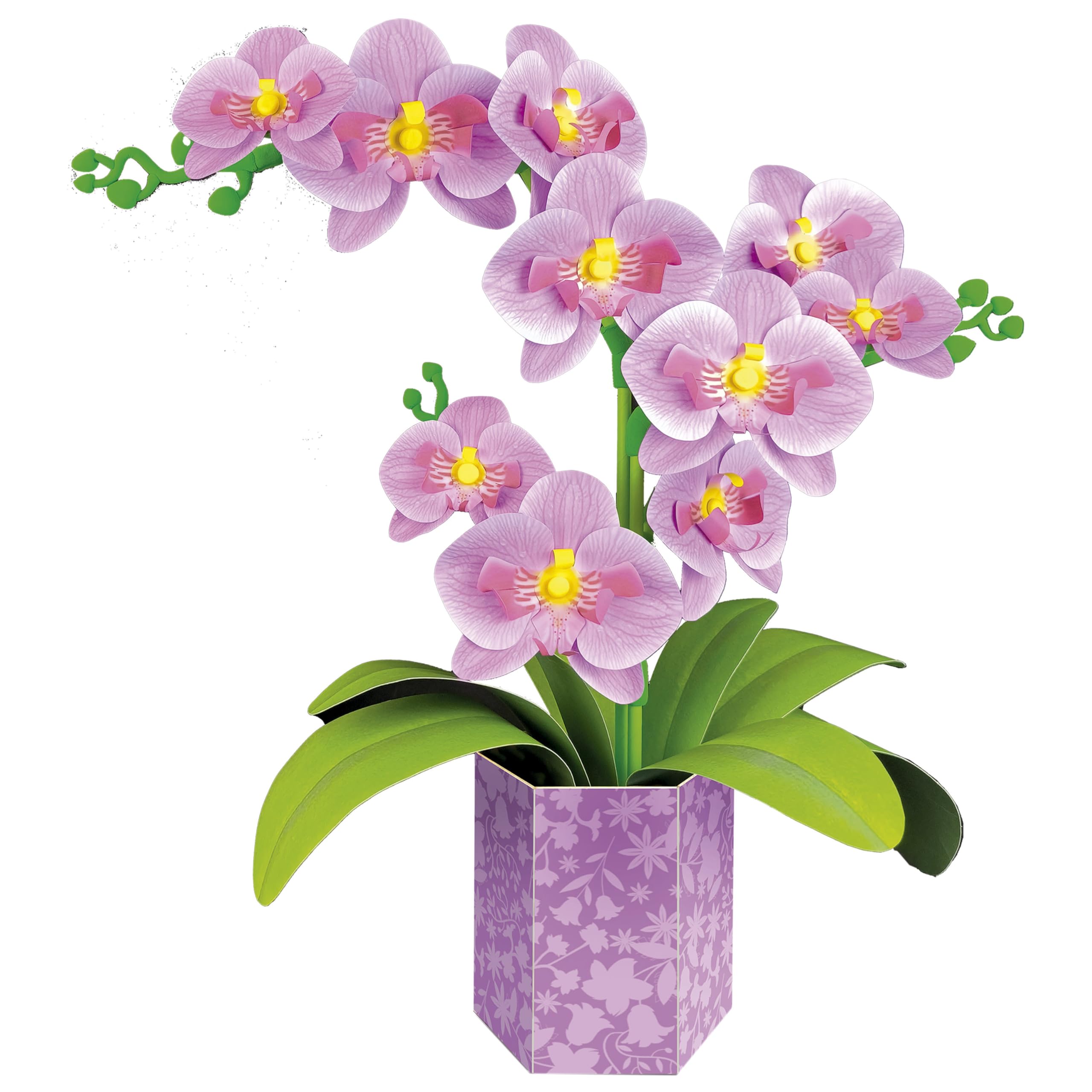 Educa - Orquídea Floral Art | Kit de manualidades para realizar una orquídea en papel sin necesidad de pegamento, ni tijeras | Set perfecto para regalar | Manualidad para decoración | +14 años (20135)