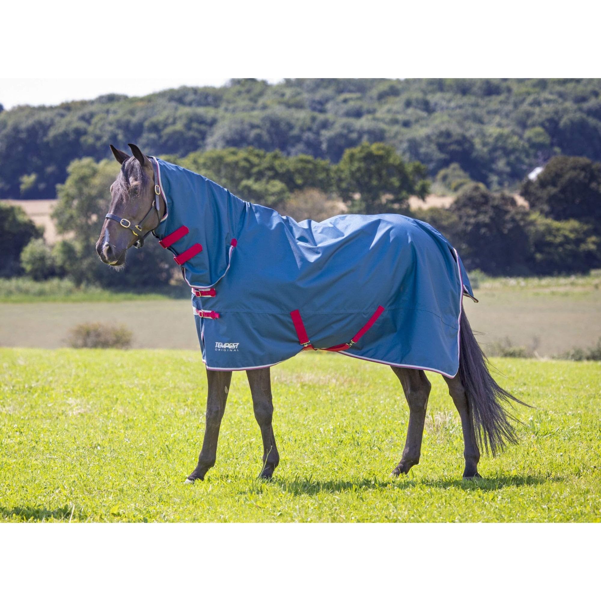 Shires Tempest Original Lite Turnout Combo Rug - Teal 6ft6
