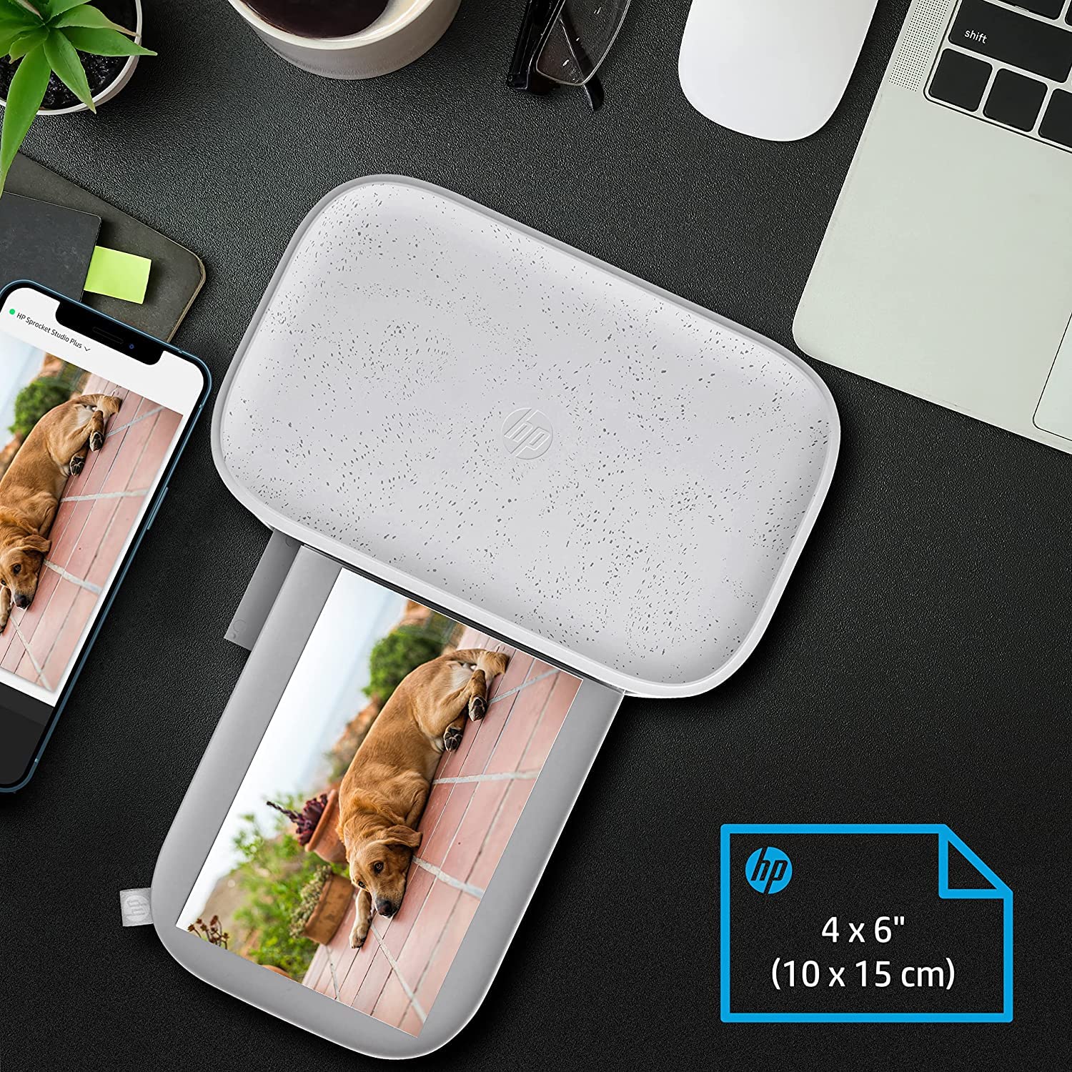 HP Sprocket Studio Plus Stampante Wi-Fi – Stampa in modalità wireless foto 4x6 + Sprocket Studio Plus 10,2 x 15,2 cm Carta fotografica e cartucce (include 108 fogli e 2 cartucce)