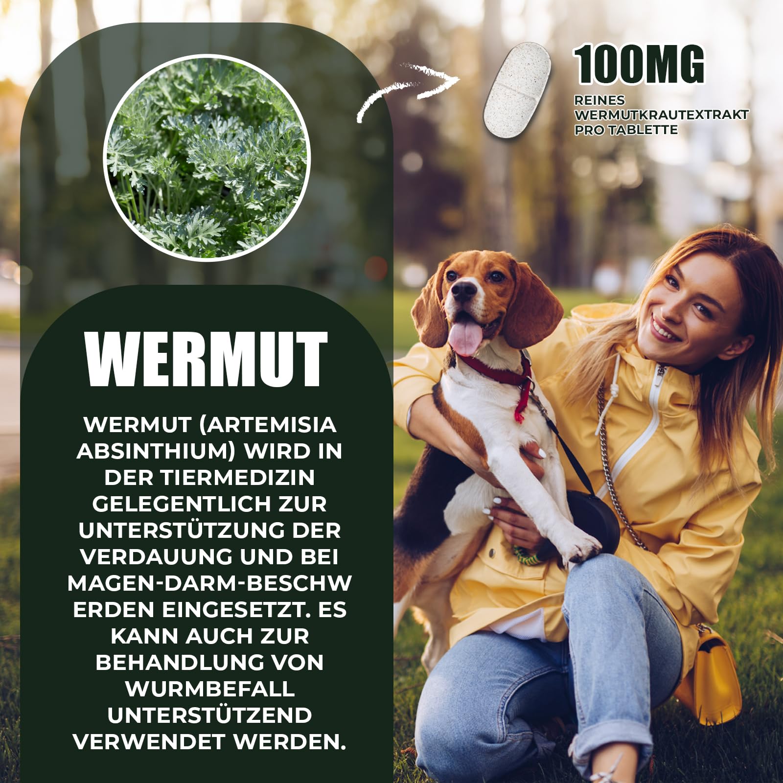 Saint Nutrition® Wormwood – Wurmkur sekundierend für Hunde - Wermutkraut Extrakt Hund – Natürliche Kräuterformel - Ergänzungsfuttermittel für eine optimale Unterstützung - ohne künstliche Zusätze